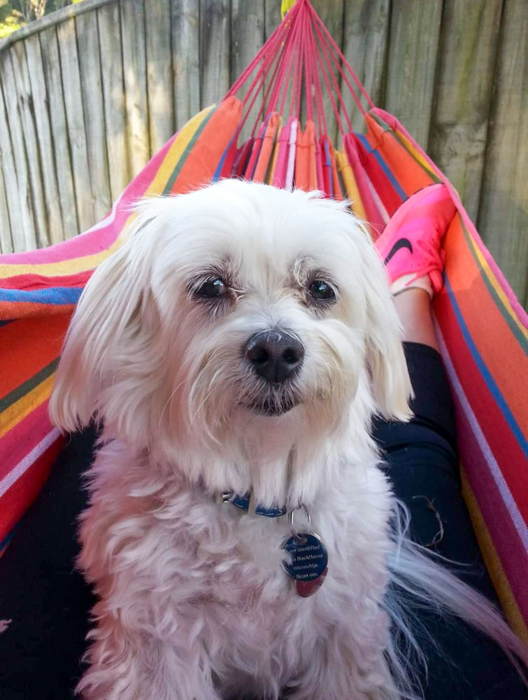 Photo of Ollie sitting on my legs, looking at the camera, as we swing in a tree hammock.